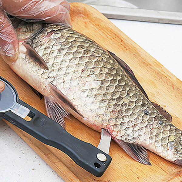 1Pcs Practical Fish Scale Remover Plastic Descaler Cleaning Scraper Kitchen Fruit Vegetable Peeler Useful Scraper Accessories - Image 2
